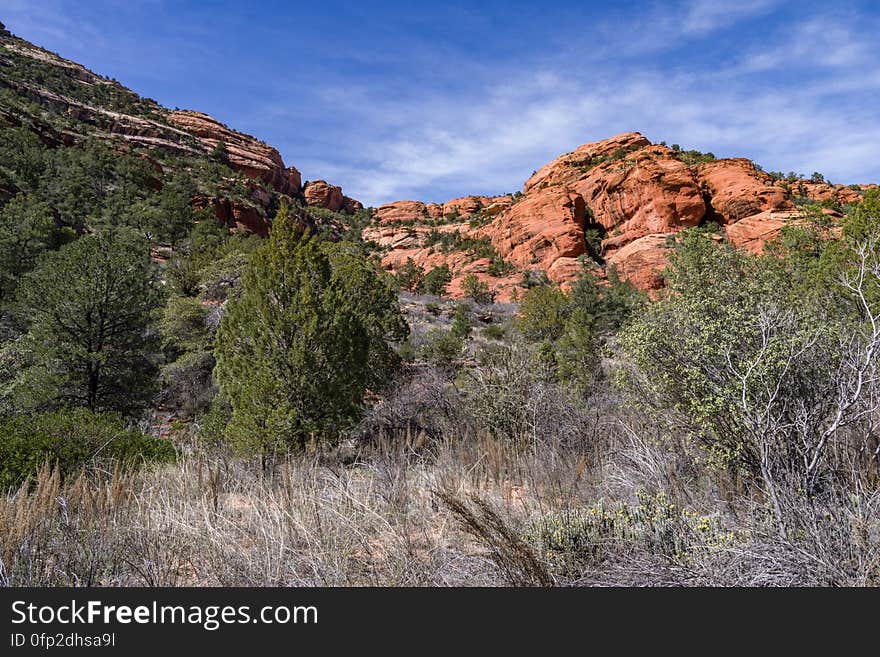 Loy Canyon Trail is west of Sedona, Arizona in Red Rock-Secret Mountain Wilderness. The trail was originally built to move livestock to and from summer pastures above the canyon&#x27;s rim. The trail is easy until it reaches the end of the canyon, where it ascends to meet Secret Mountain Trail. www.fs.usda.gov/recarea/coconino/recarea/?recid=55348