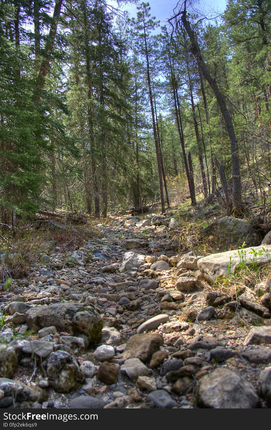 West Fork of Oak Creek On the third day of our camping trip on the Mogollon Rim above Sedona, we headed to the western end of West Fork. The canyon starts on the Rim, intersecting Woody Mountain Road, and cuts east, where it joins Oak Creek Canyon, a total distance of seven or eight miles. At the Oak Creek end, there’s an official trailhead &#x28;West Fork #108&#x29; at Call o’ the Canyon, which runs about three miles up the canyon. We decided to try hiking the canyon from the western end, where there’s no official trail… as a matter of fact, there’s a lovely Forest Service sign explaining that there’s no official trail there, you’re pretty much on your own, watch out for flash floods, and please don’t die. From the bridge, there’s a well worn path that runs for perhaps 0.5 to 0.75 mile along the banks of the creek. Eventually, the canyon becomes too narrow, and walking on the banks is not possible, and it becomes a boulder hop down the creek bed. Fallen trees and very large boulders make the route a bit challenging. At this point, while the canyon is very pretty, it’s not family friendly or very dog friendly &#x28;we had to give ours quite a bit of assistance&#x29;. Given the amount of scrambling, I don’t think this would be a very fun backpacking trail, but with an early start, I believe this could be easily done as a shuttle hike. Trip report All photos from this hike 5-frame HDR shot with a Pentax K20D. HDR generated and tone mapped in Photomatix. Metadata refined in MS Pro Photo Tools and Adobe Lightroom.