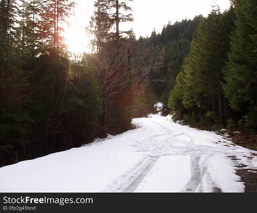 Sky, Plant, Snow, Natural landscape, Slope, Road surface