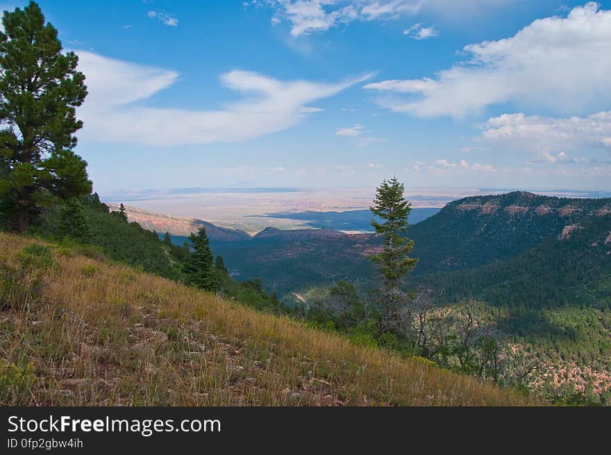 Hike on Kaibab Plateau Trail 101 &#x28;part of the Arizona Trail&#x29; from East Rim Viewpoint to Crystal Spring.