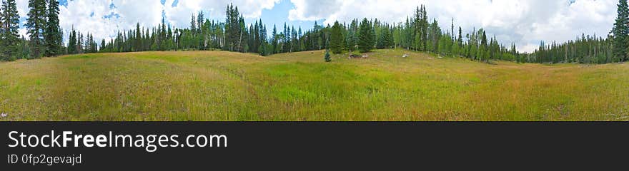 Hike on Kaibab Plateau Trail 101 &#x28;part of the Arizona Trail&#x29; from East Rim Viewpoint to Crystal Spring.