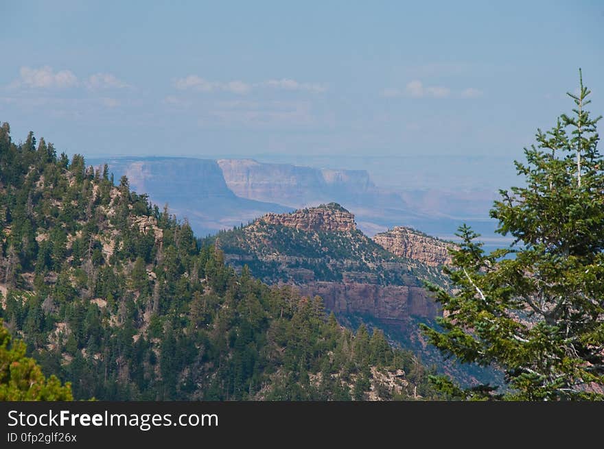 Hike on Kaibab Plateau Trail 101 &#x28;part of the Arizona Trail&#x29; from East Rim Viewpoint to Crystal Spring.