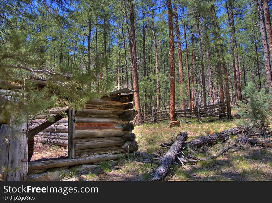 Secret Cabin on Secret Mountain Trail. 2009-05-06: On the fourth day of our camping trip on the Mogollon Rim above Sedona, we headed to Secret Mountain Trail #109. The Mangums &#x28;authors of Flagstaff Hikes&#x29; list this as one of their favorite trails, mentioning they usually stop just past Secret Cabin on the edge of the mountain where there’s a nice view. The weather was unseasonably hot, and we chose this trail not only because it’s interesting, but because it stays at fairly high elevation &#x28;instead of diving down into a canyon like so many of the trails in this area&#x29;. The trail starts off running along a bit of a ridge up to a knob where there are some fantastic views. Diving down to a narrow saddle, the trail meets the top of Loy Canyon Trail, then climbs up to a fairly flat run. Around 1.0 mile are the remains of an old dry tank and corral. It’s almost easy to miss the corral because there’s just a few posts left, as well as a rusty old dredge. Off to the left just past the corral is Johnson Tank. The tank wall reveals signs of masonry work where the dirt has eroded away. Past Johnson Tank, the trail runs above and to the left of a ravine, where two more tanks hold water. The first, Masonry Tank, is built using local stones to dam a narrow, rocky section of the creek bed. The dam creates a small, shallow pond. Below Masonry Tank is Cement Tank, created from three slabs of preformed concrete. This dam creates a rather large, long, and narrow pond which runs back almost to Masonry Tank. There is a rough footpath running from Cement Tank to above Masonry Tank, a lovely diversion from the main trail. According to the Mangums, this area of forest is virgin. Near Cement Tank, the trail descends to a bench along the creek bed where another, more complete corral and Secret Cabin are situated &#x28;1.8 miles from the trailhead&#x29;. Secret Cabin is in fair shape, its walls standing but its roof has collapsed. According to the Mangums, the cabin was built as a failed homestead, and was later inhabited by a family of polygamous Latter Day Saints escaping persecution, then horse thieves who’d bring stolen horses up Loy Canyon from Sedona en route to Flagstaff and northern destinations. Heading uphill past the cabin, the trail leads up to a ridge with a nice view and more corrals. The main trail leads off to the left for another 2.8 miles. Since it was pretty hot weather, we decided to follow the Mangums&#x27; recommendation: we had lunch in the shade of a tree, then turned around and headed back to the trailhead, diverting down into the ravine to explore the tanks on the way back. Trip report and full gallery