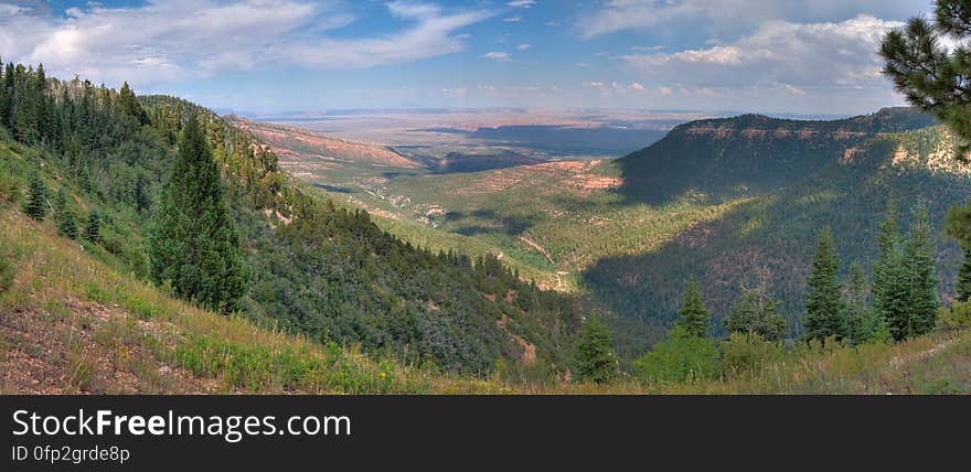 Hike on Kaibab Plateau Trail 101 &#x28;part of the Arizona Trail&#x29; from East Rim Viewpoint to Crystal Spring.