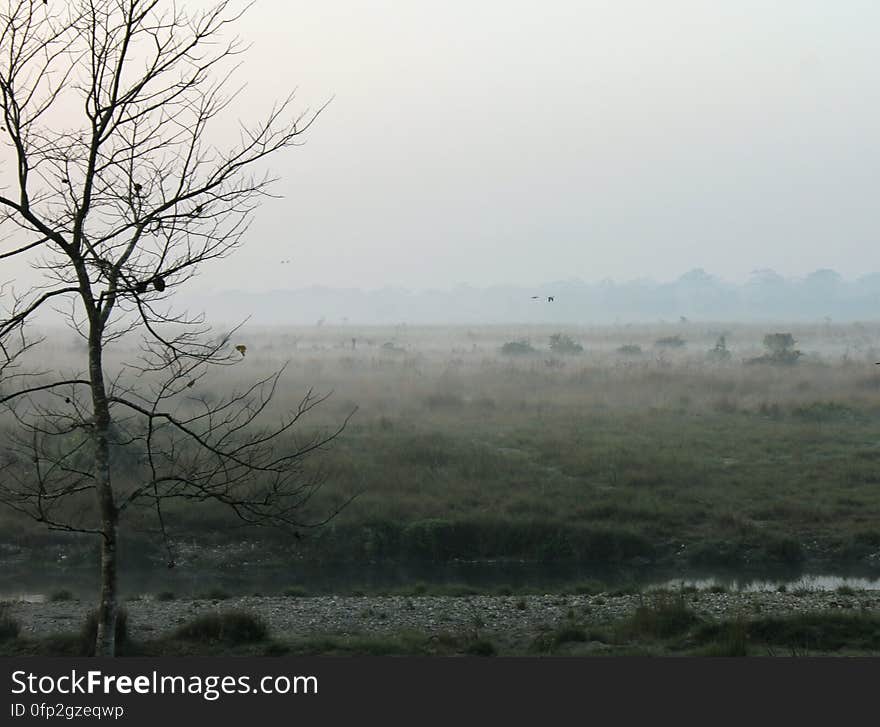 Near the forest watchtower, Chilapata forest