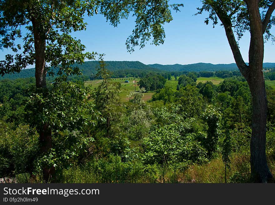 View along Arkansas highway in Ouachita N.F. Read about our 2009 Summer Road Trip and view the entire photo collection on my blog. View along Arkansas highway in Ouachita N.F. Read about our 2009 Summer Road Trip and view the entire photo collection on my blog.