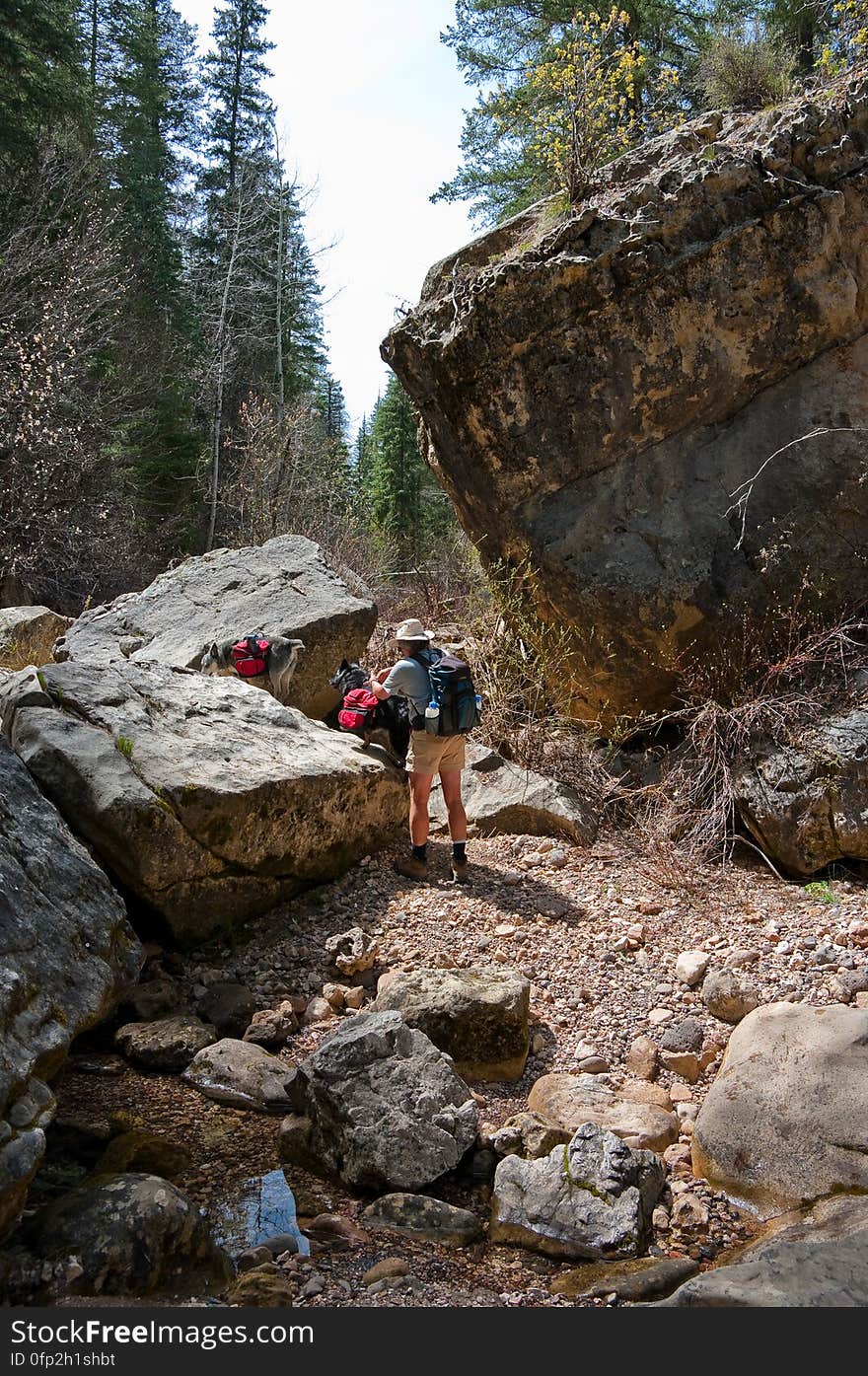 Stuart helping pups up over a rock fall. On the third day of our camping trip on the Mogollon Rim above Sedona, we headed to the western end of West Fork. The canyon starts on the Rim, intersecting Woody Mountain Road, and cuts east, where it joins Oak Creek Canyon, a total distance of seven or eight miles. At the Oak Creek end, there’s an official trailhead &#x28;West Fork #108&#x29; at Call o’ the Canyon, which runs about three miles up the canyon. We decided to try hiking the canyon from the western end, where there’s no official trail… as a matter of fact, there’s a lovely Forest Service sign explaining that there’s no official trail there, you’re pretty much on your own, watch out for flash floods, and please don’t die. From the bridge, there’s a well worn path that runs for perhaps 0.5 to 0.75 mile along the banks of the creek. Eventually, the canyon becomes too narrow, and walking on the banks is not possible, and it becomes a boulder hop down the creek bed. Fallen trees and very large boulders make the route a bit challenging. At this point, while the canyon is very pretty, it’s not family friendly or very dog friendly &#x28;we had to give ours quite a bit of assistance&#x29;. Given the amount of scrambling, I don’t think this would be a very fun backpacking trail, but with an early start, I believe this could be easily done as a shuttle hike. Trip report All photos from this hike. Stuart helping pups up over a rock fall. On the third day of our camping trip on the Mogollon Rim above Sedona, we headed to the western end of West Fork. The canyon starts on the Rim, intersecting Woody Mountain Road, and cuts east, where it joins Oak Creek Canyon, a total distance of seven or eight miles. At the Oak Creek end, there’s an official trailhead &#x28;West Fork #108&#x29; at Call o’ the Canyon, which runs about three miles up the canyon. We decided to try hiking the canyon from the western end, where there’s no official trail… as a matter of fact, there’s a lovely Forest Service sign explaining that there’s no official trail there, you’re pretty much on your own, watch out for flash floods, and please don’t die. From the bridge, there’s a well worn path that runs for perhaps 0.5 to 0.75 mile along the banks of the creek. Eventually, the canyon becomes too narrow, and walking on the banks is not possible, and it becomes a boulder hop down the creek bed. Fallen trees and very large boulders make the route a bit challenging. At this point, while the canyon is very pretty, it’s not family friendly or very dog friendly &#x28;we had to give ours quite a bit of assistance&#x29;. Given the amount of scrambling, I don’t think this would be a very fun backpacking trail, but with an early start, I believe this could be easily done as a shuttle hike. Trip report All photos from this hike