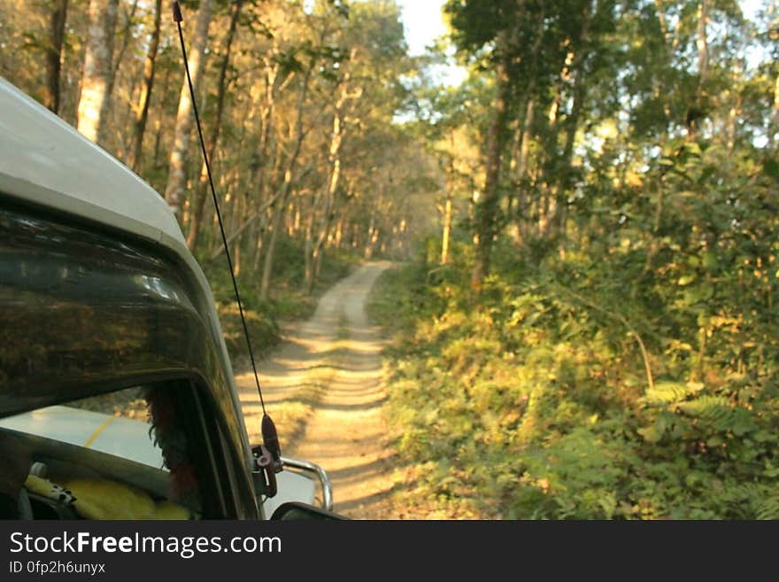 View from our running car, Chilapata