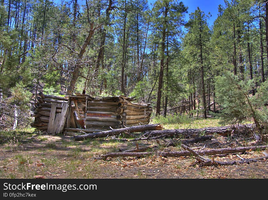 Secret Cabin on Secret Mountain Trail. 2009-05-06: On the fourth day of our camping trip on the Mogollon Rim above Sedona, we headed to Secret Mountain Trail #109. The Mangums &#x28;authors of Flagstaff Hikes&#x29; list this as one of their favorite trails, mentioning they usually stop just past Secret Cabin on the edge of the mountain where there’s a nice view. The weather was unseasonably hot, and we chose this trail not only because it’s interesting, but because it stays at fairly high elevation &#x28;instead of diving down into a canyon like so many of the trails in this area&#x29;. The trail starts off running along a bit of a ridge up to a knob where there are some fantastic views. Diving down to a narrow saddle, the trail meets the top of Loy Canyon Trail, then climbs up to a fairly flat run. Around 1.0 mile are the remains of an old dry tank and corral. It’s almost easy to miss the corral because there’s just a few posts left, as well as a rusty old dredge. Off to the left just past the corral is Johnson Tank. The tank wall reveals signs of masonry work where the dirt has eroded away. Past Johnson Tank, the trail runs above and to the left of a ravine, where two more tanks hold water. The first, Masonry Tank, is built using local stones to dam a narrow, rocky section of the creek bed. The dam creates a small, shallow pond. Below Masonry Tank is Cement Tank, created from three slabs of preformed concrete. This dam creates a rather large, long, and narrow pond which runs back almost to Masonry Tank. There is a rough footpath running from Cement Tank to above Masonry Tank, a lovely diversion from the main trail. According to the Mangums, this area of forest is virgin. Near Cement Tank, the trail descends to a bench along the creek bed where another, more complete corral and Secret Cabin are situated &#x28;1.8 miles from the trailhead&#x29;. Secret Cabin is in fair shape, its walls standing but its roof has collapsed. According to the Mangums, the cabin was built as a failed homestead, and was later inhabited by a family of polygamous Latter Day Saints escaping persecution, then horse thieves who’d bring stolen horses up Loy Canyon from Sedona en route to Flagstaff and northern destinations. Heading uphill past the cabin, the trail leads up to a ridge with a nice view and more corrals. The main trail leads off to the left for another 2.8 miles. Since it was pretty hot weather, we decided to follow the Mangums&#x27; recommendation: we had lunch in the shade of a tree, then turned around and headed back to the trailhead, diverting down into the ravine to explore the tanks on the way back. Trip report and full gallery