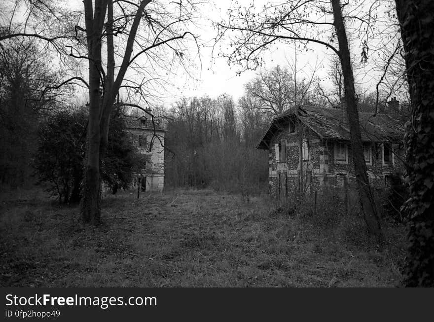 Abandonned houses in the forest