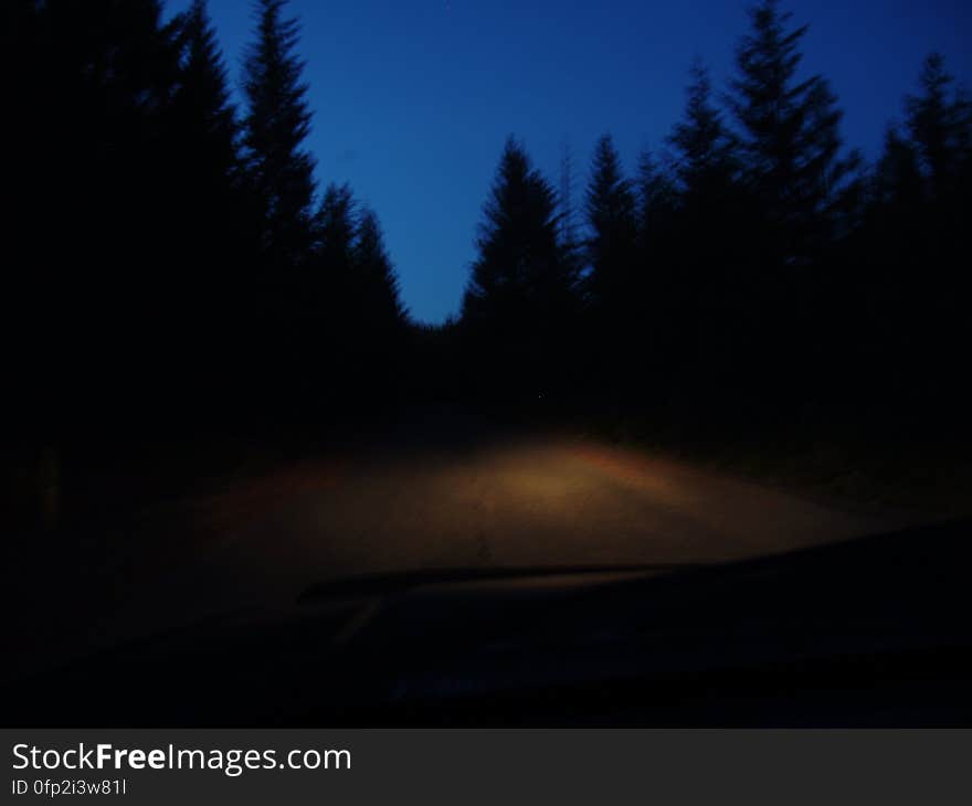 Sky, Plant, Natural landscape, Tree, Automotive lighting, Larch