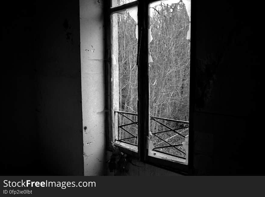 Abandonned houses in the forest