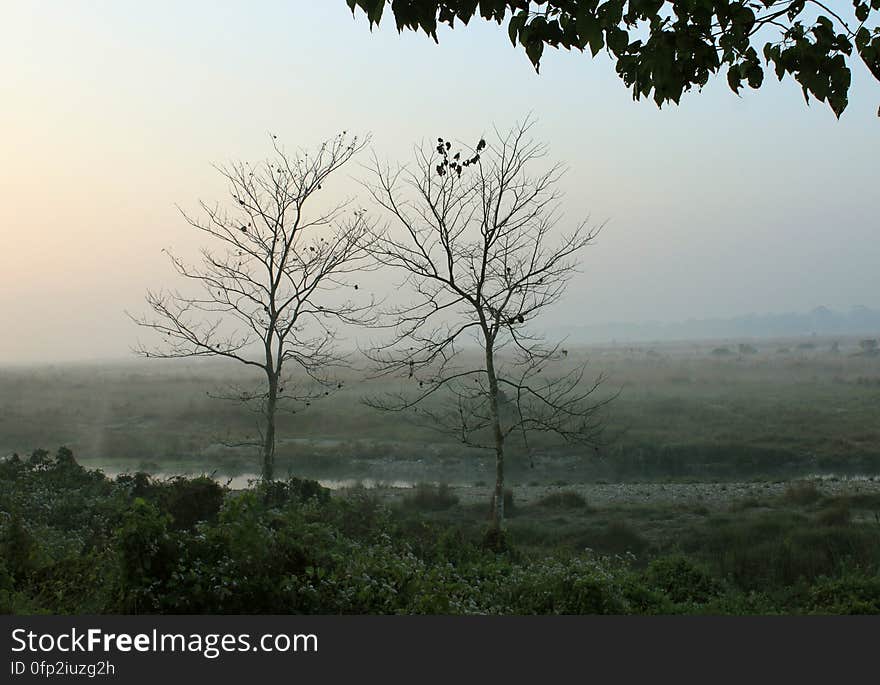 Approaching the forest watchtower, Chilapata forest