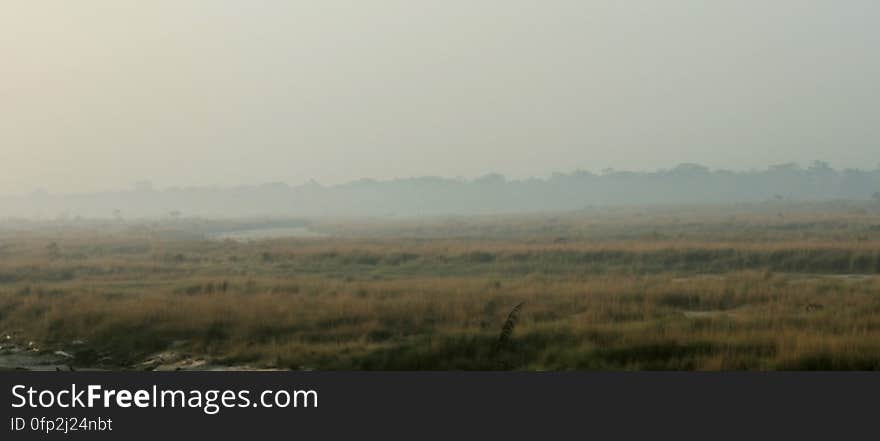 Fog over the landscape, Chilapata