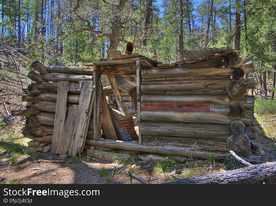 Secret Cabin on Secret Mountain Trail. 2009-05-06: On the fourth day of our camping trip on the Mogollon Rim above Sedona, we headed to Secret Mountain Trail #109. The Mangums &#x28;authors of Flagstaff Hikes&#x29; list this as one of their favorite trails, mentioning they usually stop just past Secret Cabin on the edge of the mountain where there’s a nice view. The weather was unseasonably hot, and we chose this trail not only because it’s interesting, but because it stays at fairly high elevation &#x28;instead of diving down into a canyon like so many of the trails in this area&#x29;. The trail starts off running along a bit of a ridge up to a knob where there are some fantastic views. Diving down to a narrow saddle, the trail meets the top of Loy Canyon Trail, then climbs up to a fairly flat run. Around 1.0 mile are the remains of an old dry tank and corral. It’s almost easy to miss the corral because there’s just a few posts left, as well as a rusty old dredge. Off to the left just past the corral is Johnson Tank. The tank wall reveals signs of masonry work where the dirt has eroded away. Past Johnson Tank, the trail runs above and to the left of a ravine, where two more tanks hold water. The first, Masonry Tank, is built using local stones to dam a narrow, rocky section of the creek bed. The dam creates a small, shallow pond. Below Masonry Tank is Cement Tank, created from three slabs of preformed concrete. This dam creates a rather large, long, and narrow pond which runs back almost to Masonry Tank. There is a rough footpath running from Cement Tank to above Masonry Tank, a lovely diversion from the main trail. According to the Mangums, this area of forest is virgin. Near Cement Tank, the trail descends to a bench along the creek bed where another, more complete corral and Secret Cabin are situated &#x28;1.8 miles from the trailhead&#x29;. Secret Cabin is in fair shape, its walls standing but its roof has collapsed. According to the Mangums, the cabin was built as a failed homestead, and was later inhabited by a family of polygamous Latter Day Saints escaping persecution, then horse thieves who’d bring stolen horses up Loy Canyon from Sedona en route to Flagstaff and northern destinations. Heading uphill past the cabin, the trail leads up to a ridge with a nice view and more corrals. The main trail leads off to the left for another 2.8 miles. Since it was pretty hot weather, we decided to follow the Mangums&#x27; recommendation: we had lunch in the shade of a tree, then turned around and headed back to the trailhead, diverting down into the ravine to explore the tanks on the way back. Trip report and full gallery