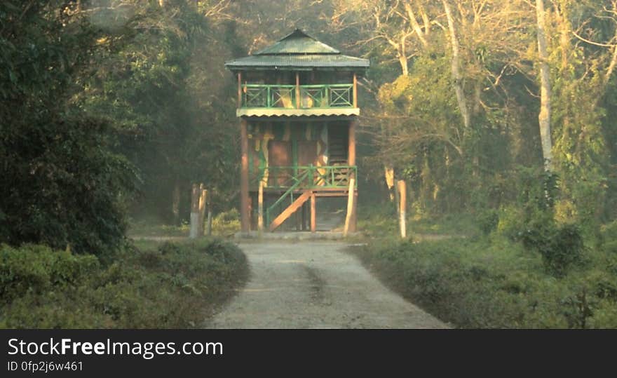 Forest rest house, Chilapata