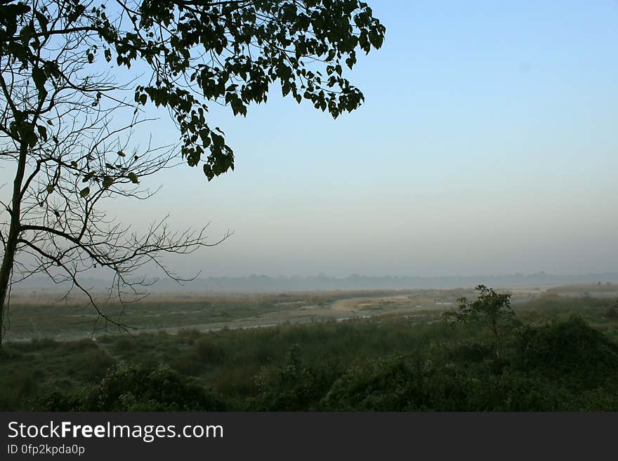 Near the forest watchtower, Chilapata forest