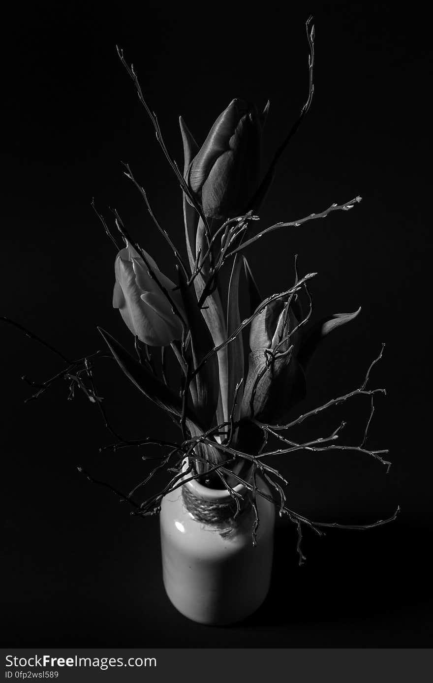 A black and white close up of dry tulips with twigs in a vase. A black and white close up of dry tulips with twigs in a vase.