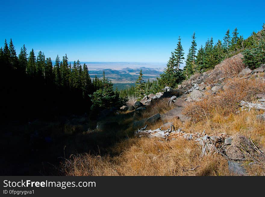 Autumn hike of the Bear Jaw, Waterline, and Abineau Trails Loop on the northern side of Flagstaff&#x27;s San Francisco Peaks. Autumn hike of the Bear Jaw, Waterline, and Abineau Trails Loop on the northern side of Flagstaff&#x27;s San Francisco Peaks.