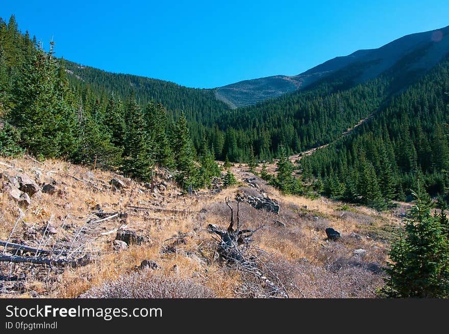 Autumn hike of the Bear Jaw, Waterline, and Abineau Trails Loop on the northern side of Flagstaff&#x27;s San Francisco Peaks. Autumn hike of the Bear Jaw, Waterline, and Abineau Trails Loop on the northern side of Flagstaff&#x27;s San Francisco Peaks.