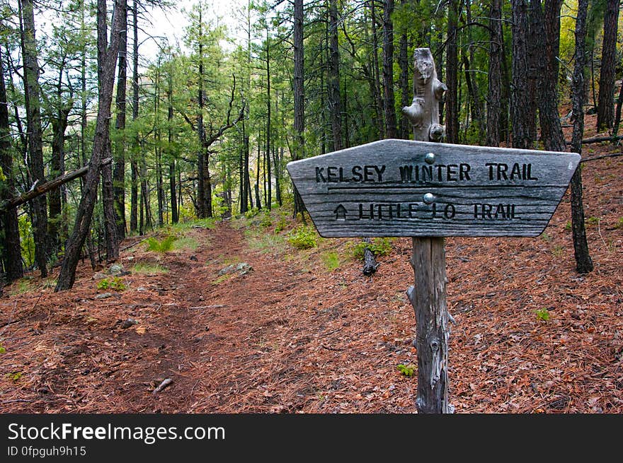 Kelsey Trailhead is right at the boundary of the Sycamore Canyon Wilderness. Kelsey and Little L.O. Trails are most easily accessed from this trailhead. Photograph by Deborah Lee Soltesz. Credit USDA Forest Service, Coconino National Forest. For more information about this trail, see the Kelsey Trail No. 3 trail description on the Coconino National Forest website.