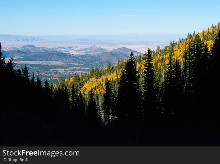 Autumn hike of the Bear Jaw, Waterline, and Abineau Trails Loop on the northern side of Flagstaff&#x27;s San Francisco Peaks. Autumn hike of the Bear Jaw, Waterline, and Abineau Trails Loop on the northern side of Flagstaff&#x27;s San Francisco Peaks.