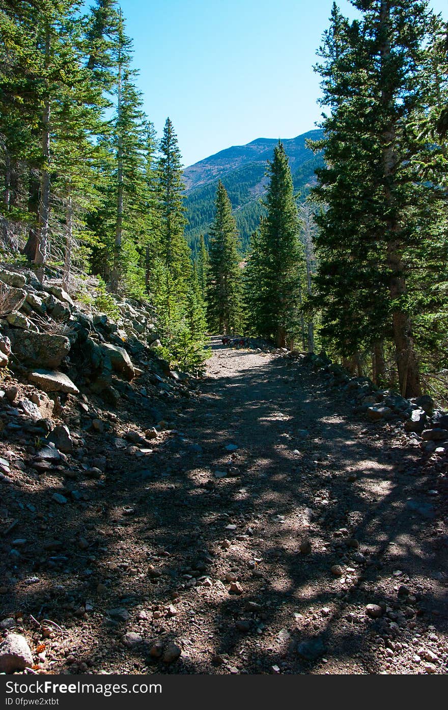 Autumn hike of the Bear Jaw, Waterline, and Abineau Trails Loop on the northern side of Flagstaff&#x27;s San Francisco Peaks. Autumn hike of the Bear Jaw, Waterline, and Abineau Trails Loop on the northern side of Flagstaff&#x27;s San Francisco Peaks.