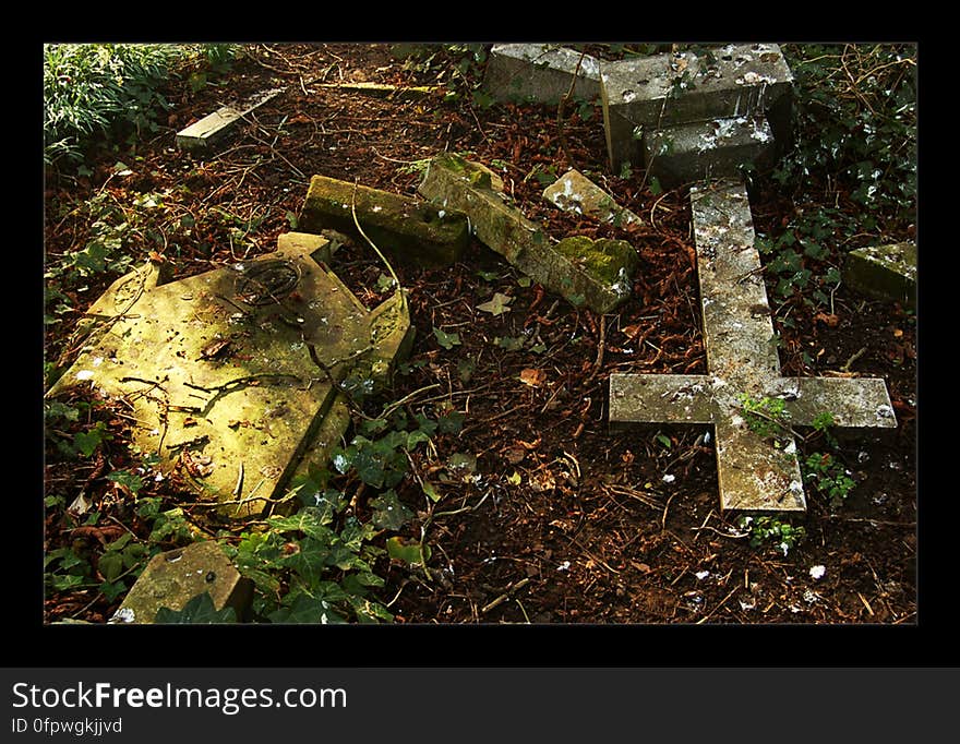 Nunhead Cemetery 1