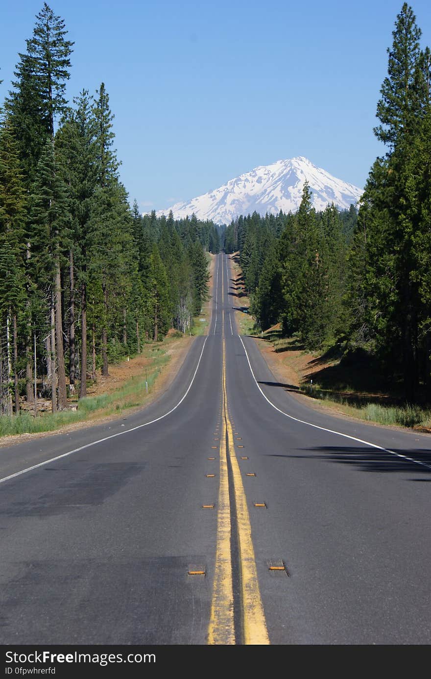 The road to Mt Shasta. The road to Mt Shasta