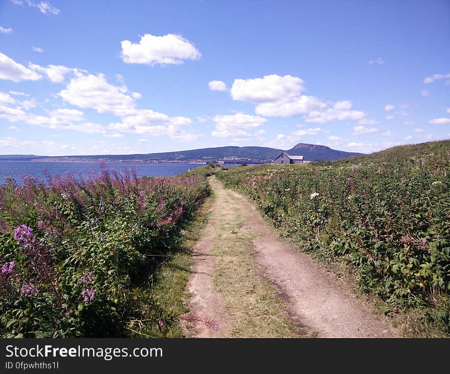 197 - Parc national de l&#x27;Île-Bonaventure-et-du-Rocher-Percé : Sentier Chemin-du-Roy