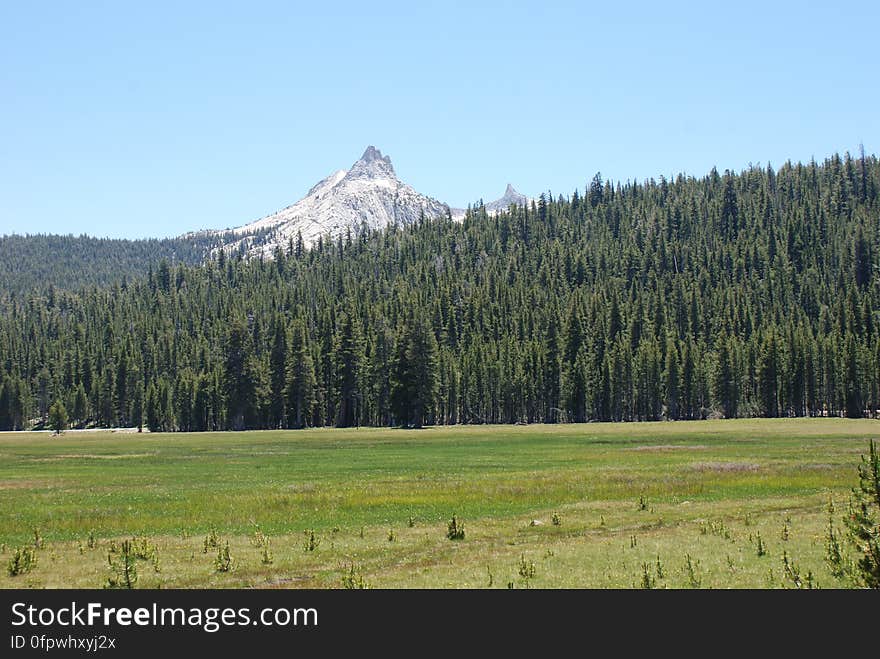 Enjoying Tuolumne Meadows on a sunny summer day. Enjoying Tuolumne Meadows on a sunny summer day