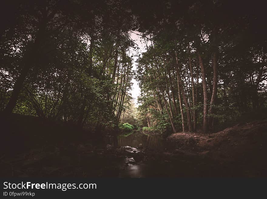 Germany Nature Reserve &#x22;Gut Bustedt&#x22;. Germany Nature Reserve &#x22;Gut Bustedt&#x22;