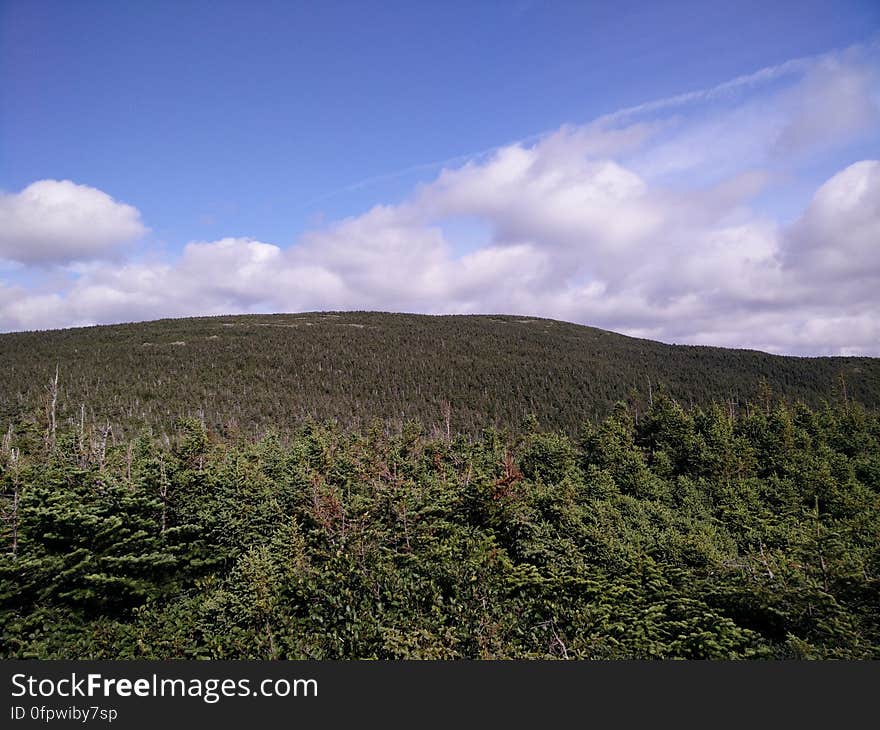 088 - Parc national de la Gaspésie : Mont Joseph-Fortin