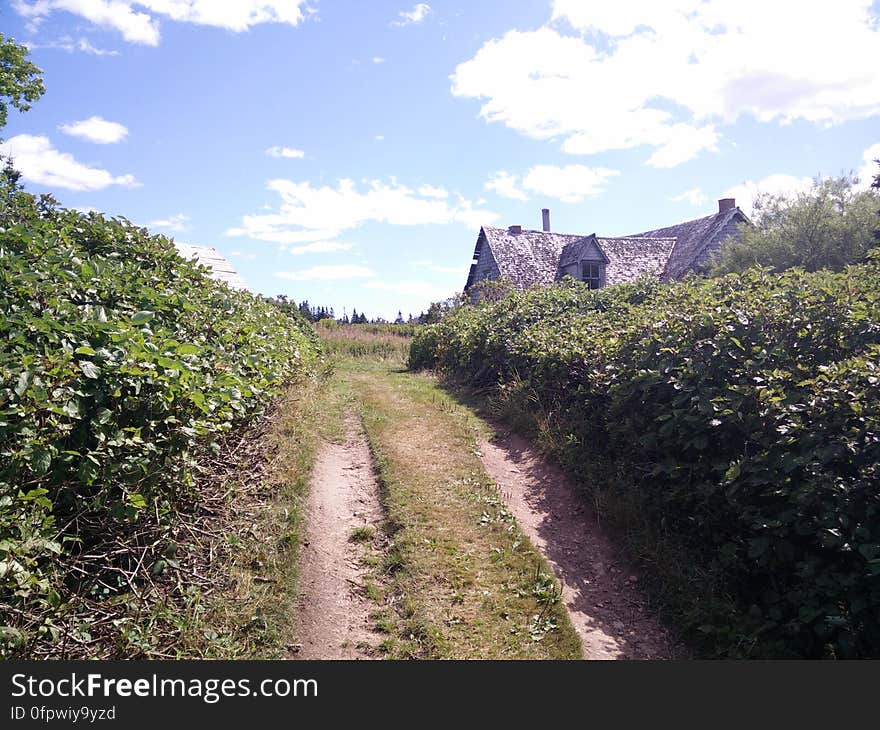 212 - Parc national de l&#x27;Île-Bonaventure-et-du-Rocher-Percé : Sentier Chemin-du-Roy