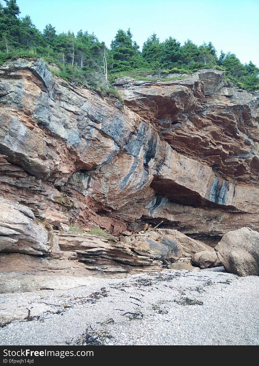 192 - Parc national de l&#x27;Île-Bonaventure-et-du-Rocher-Percé : Sentier Chemin-du-Roy