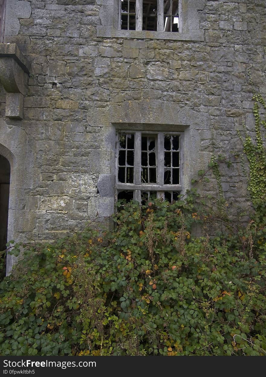 charleville castle stables