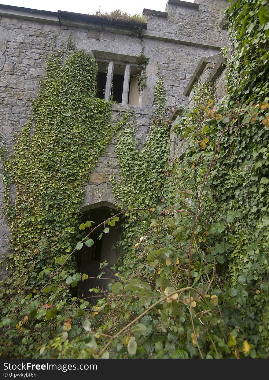 charleville castle stables