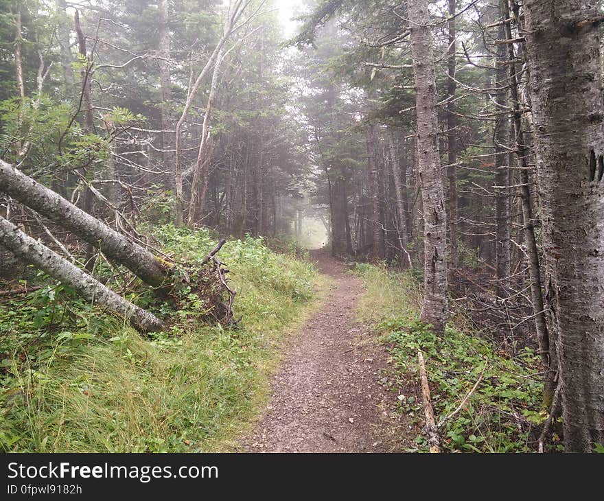 136 - Parc national Forillon : Sentier Les Graves