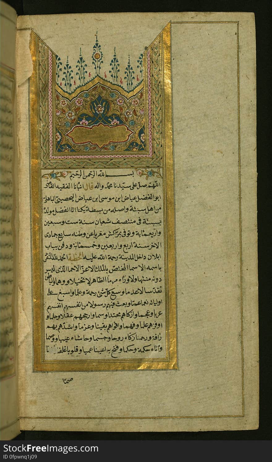 The Incipit page with a w-shaped headpiece and gilt frame of an illuminated copy of the popular work on the duties of Muslims towards the Prophet Muhammad, known as al-Shifāʾ, by ʿIyāḍ al-Yaḥṣūbī &#x28;d. 544 AH / 1149 CE&#x29;. This codex with gilt edges and a typical Turkish binding was executed by Salīm al-Rashīd in 1191 AH / 1777 CE. See this manuscript page by page at the Walters Art Museum website: art.thewalters.org/viewwoa.aspx?id=11962. The Incipit page with a w-shaped headpiece and gilt frame of an illuminated copy of the popular work on the duties of Muslims towards the Prophet Muhammad, known as al-Shifāʾ, by ʿIyāḍ al-Yaḥṣūbī &#x28;d. 544 AH / 1149 CE&#x29;. This codex with gilt edges and a typical Turkish binding was executed by Salīm al-Rashīd in 1191 AH / 1777 CE. See this manuscript page by page at the Walters Art Museum website: art.thewalters.org/viewwoa.aspx?id=11962