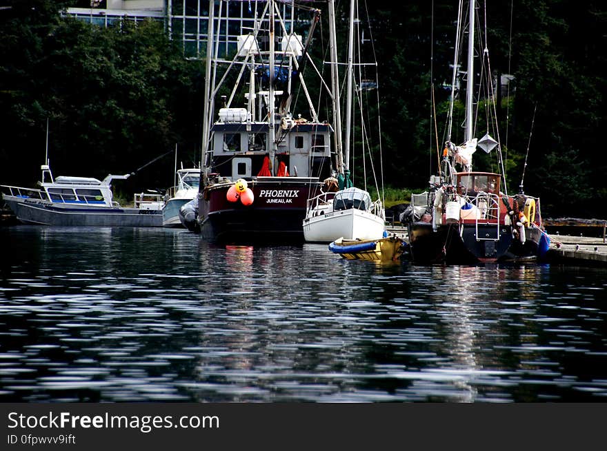 Juneau &#x28;9&#x29;