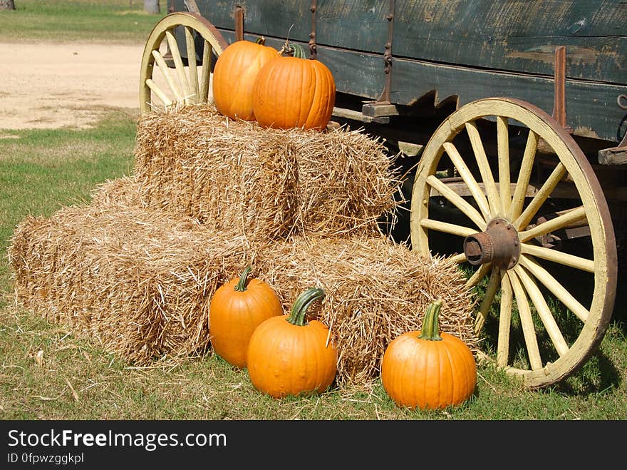 Orange Pumpkin on Brown Hay Near Gray Carriage