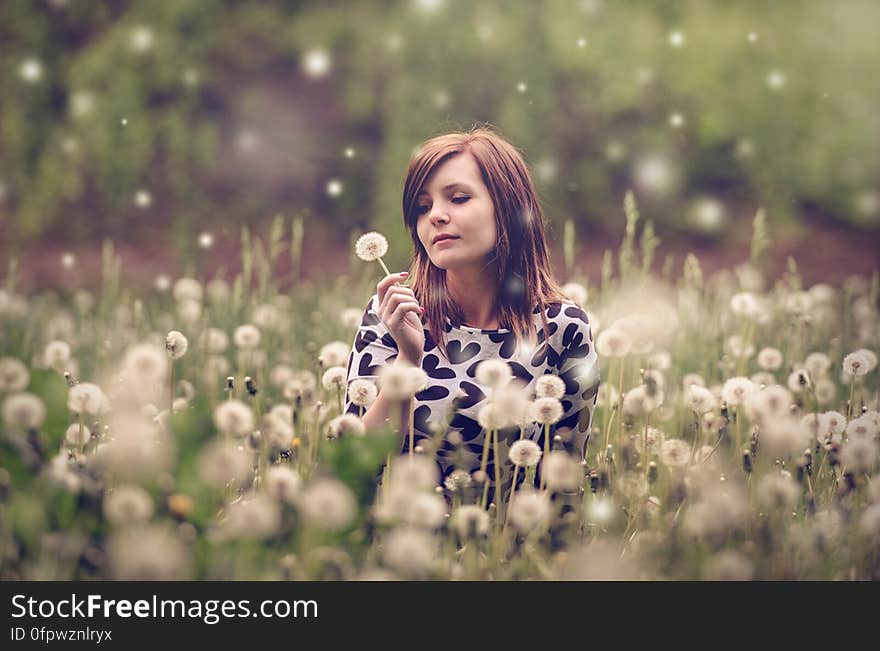 Woman Sitting in a Field of Flowers