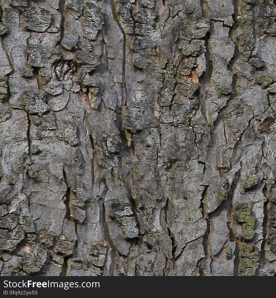 seamless texture. seamless texture