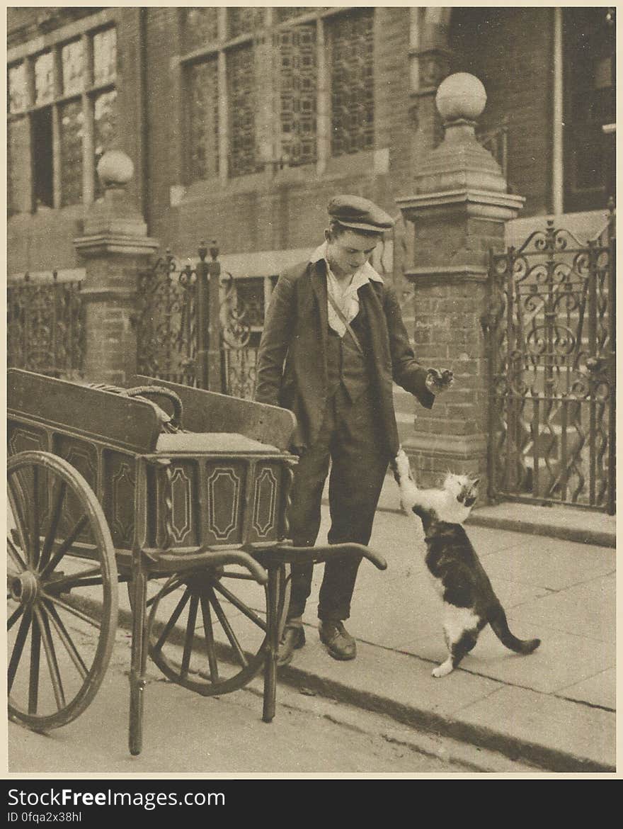 the cat&#x27;s meat man Photogravure by Donald Macleish from Wonderful London by St John Adcock, 1927. Slinking with lithe bodies amid the thickets of iron palings, or seated regardant upon the hillsides of front door steps, or prowling the deep ravines of basements, from tree-tops, from behind dustbins and out of first floor windows, the London cats come trotting after the cat&#x27;s meat man. The pleased anticipation of milk or fish is as nothing to the ecstasy of craving for apiece of this &quot;not of the newest&quot; horse flesh. Mucid, and of horrid hues, in dull reds and yellows, the meat is put up in little steaks upon a skewer. More at www.wonderfullondon.tumblr.com/