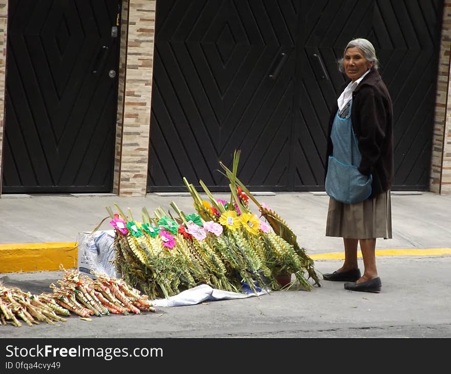 Vendedora de ramos