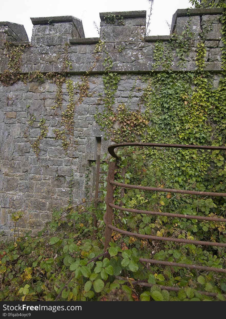 charleville castle stables