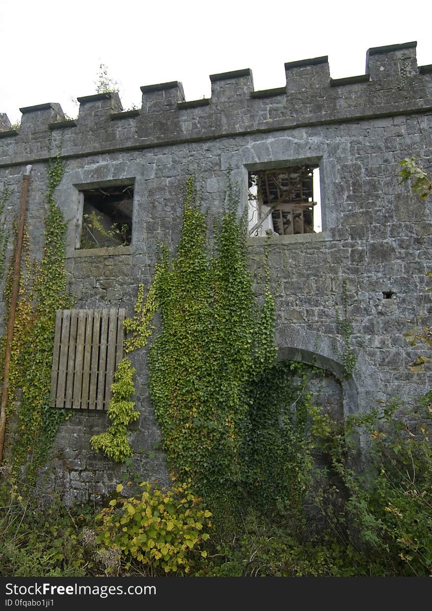 charleville castle stables