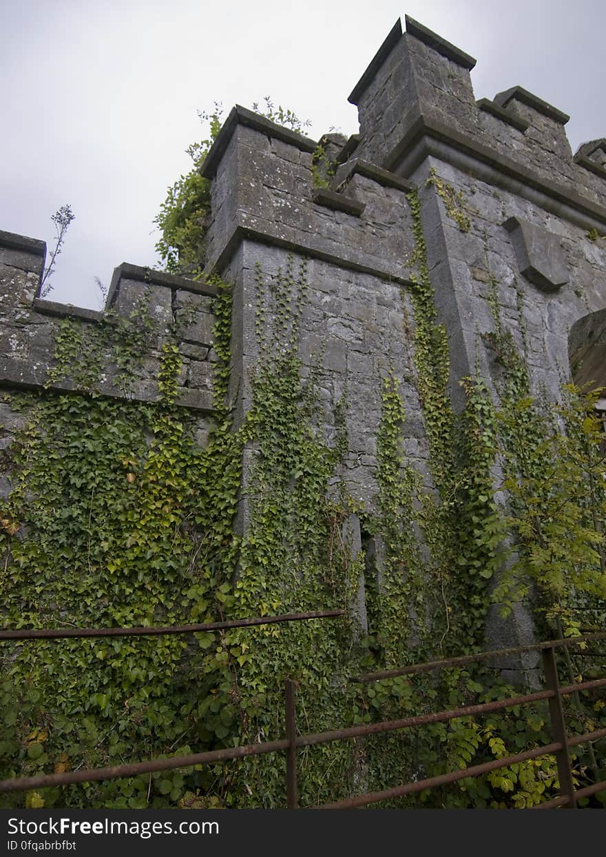 charleville castle stables