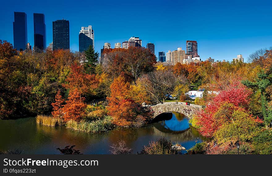 A view of the Pond in the Central Park in New York City and the Gapstow Bridge in the autumn. A view of the Pond in the Central Park in New York City and the Gapstow Bridge in the autumn.