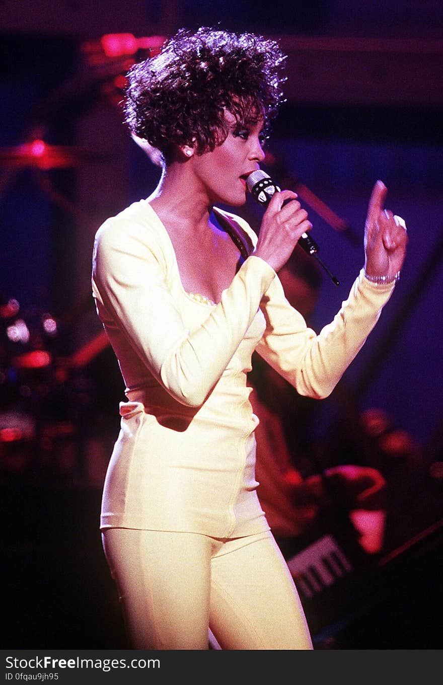 The singer Whitney Houston in concert in 1991.